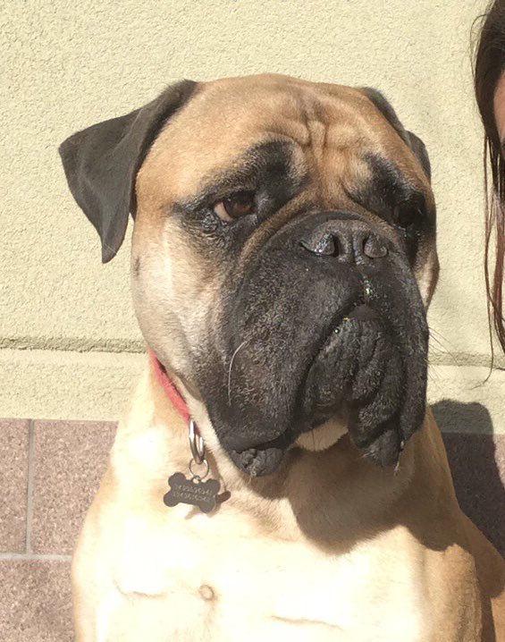 dissenten's tweet photo. Fate gli auguri alla culona di casa, ed oggi sono cinque 😍❤️ https://t.co/5kdQRCZMAl