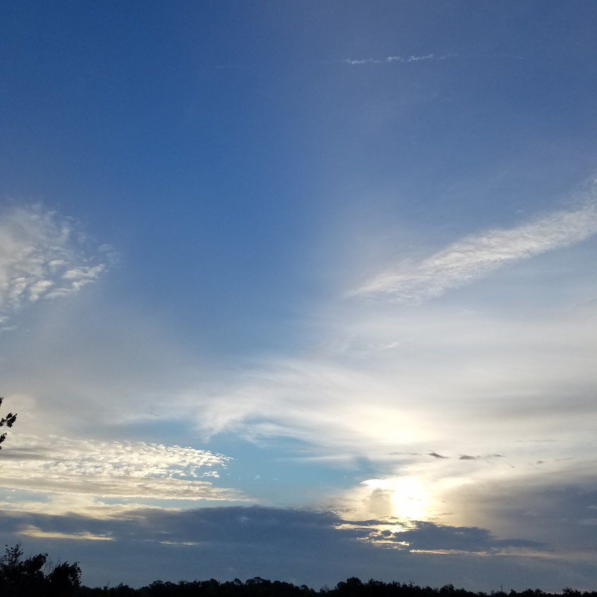 GodsTreeHouse's tweet photo. Forgiveness is the light. https://t.co/qjDEdjdy6x