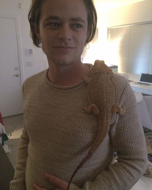 dailyharrisonbr's tweet photo. Como não te amar @GilbertsonReal? Como não amar esse ser tão precioso? 😍 https://t.co/pRehd6zZ3Q