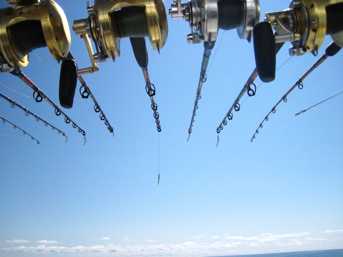zekesmarina's tweet photo. Who's ready to catch some fish? https://t.co/fUilWM53w5 https://t.co/awMfkWKf9v