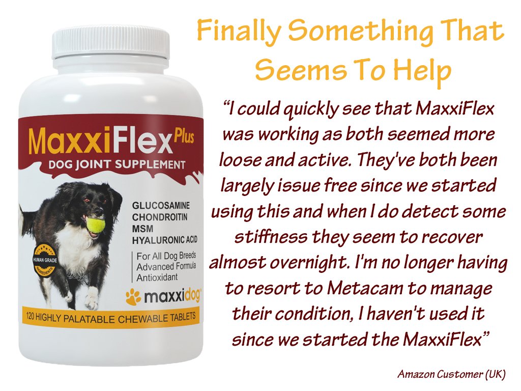 maxxipaws's tweet photo. Thank You https://t.co/1THtkkgy20
#maxxiflexplus #dogjointsupplement #jointsupplementfordogs #dogarthritis #dogjoints #dogs #maxxidog https://t.co/57CGj41nP4