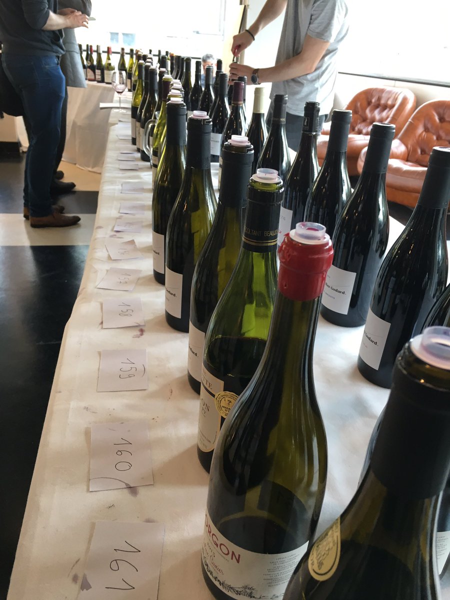 My journey around the world in wine takes me to Beaujolais with #GoGamayGo in a #WineAnorak masterclass by @jamiegoode