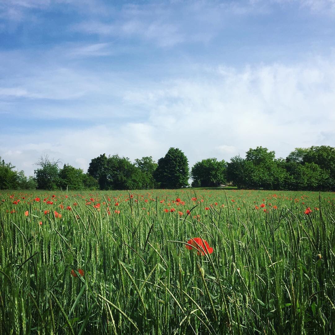 cowomodo's tweet photo. Con i luoghi dei #coworker ci siamo fatti incantare, ogni punto di vista apre un mondo magico! https://t.co/DiC4sEfZgS #cowomodo https://t.co/xDR1x6rhId