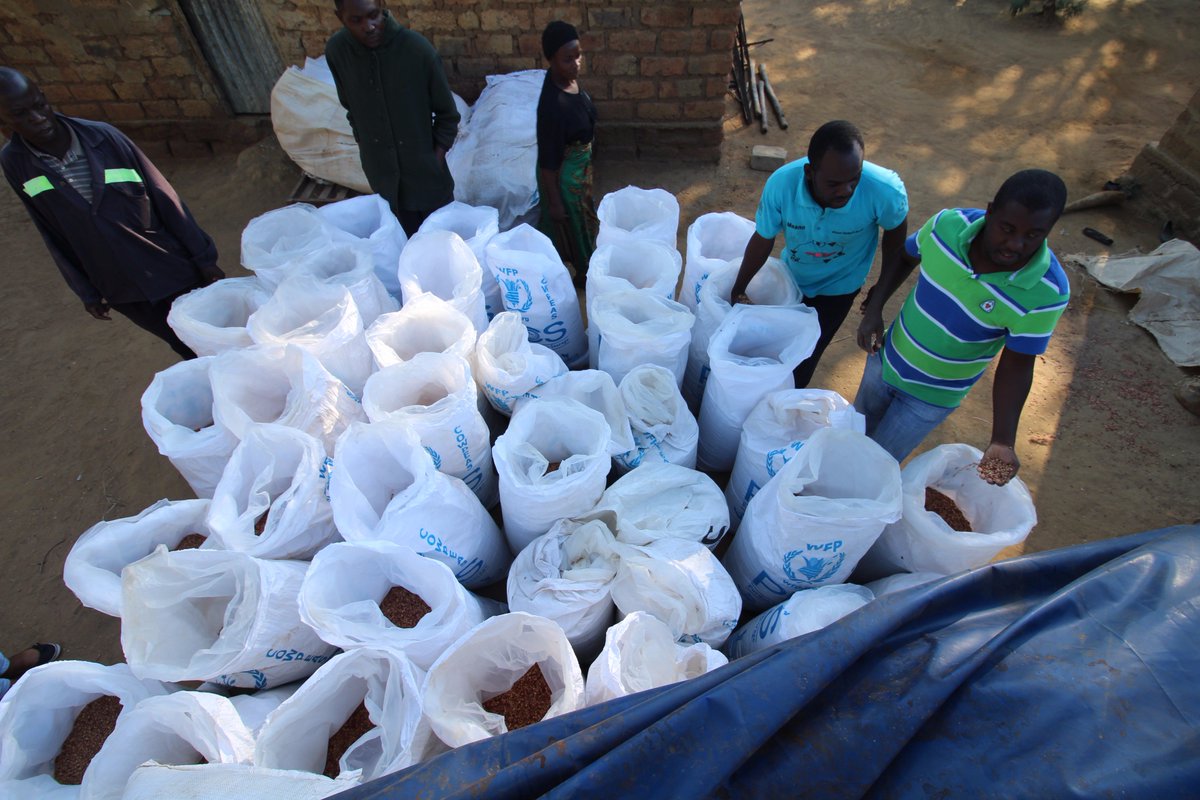 EvinJoyce's tweet photo. First ever #Maano transaction has taken place!!! 40 bags of cowpeas (2 tons) sold by farmer, Auditor Mweemba, to trader, Eric Nyambe ...@WFP https://t.co/JZlxQ6lWXF