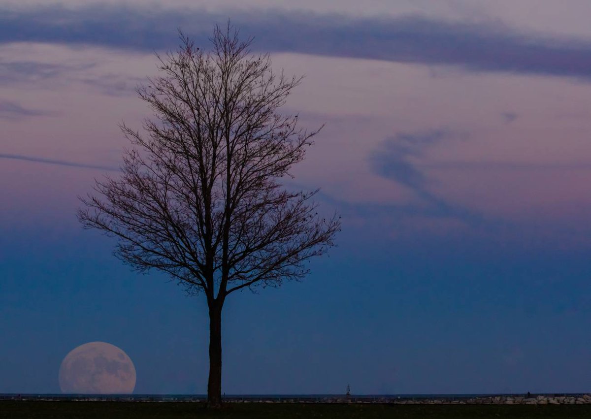 johnephoto's tweet photo. Full moon rising at Lake Park #milwaukeelife #mkephotographer #photography #johnephoto https://t.co/UKv5z1TEfw