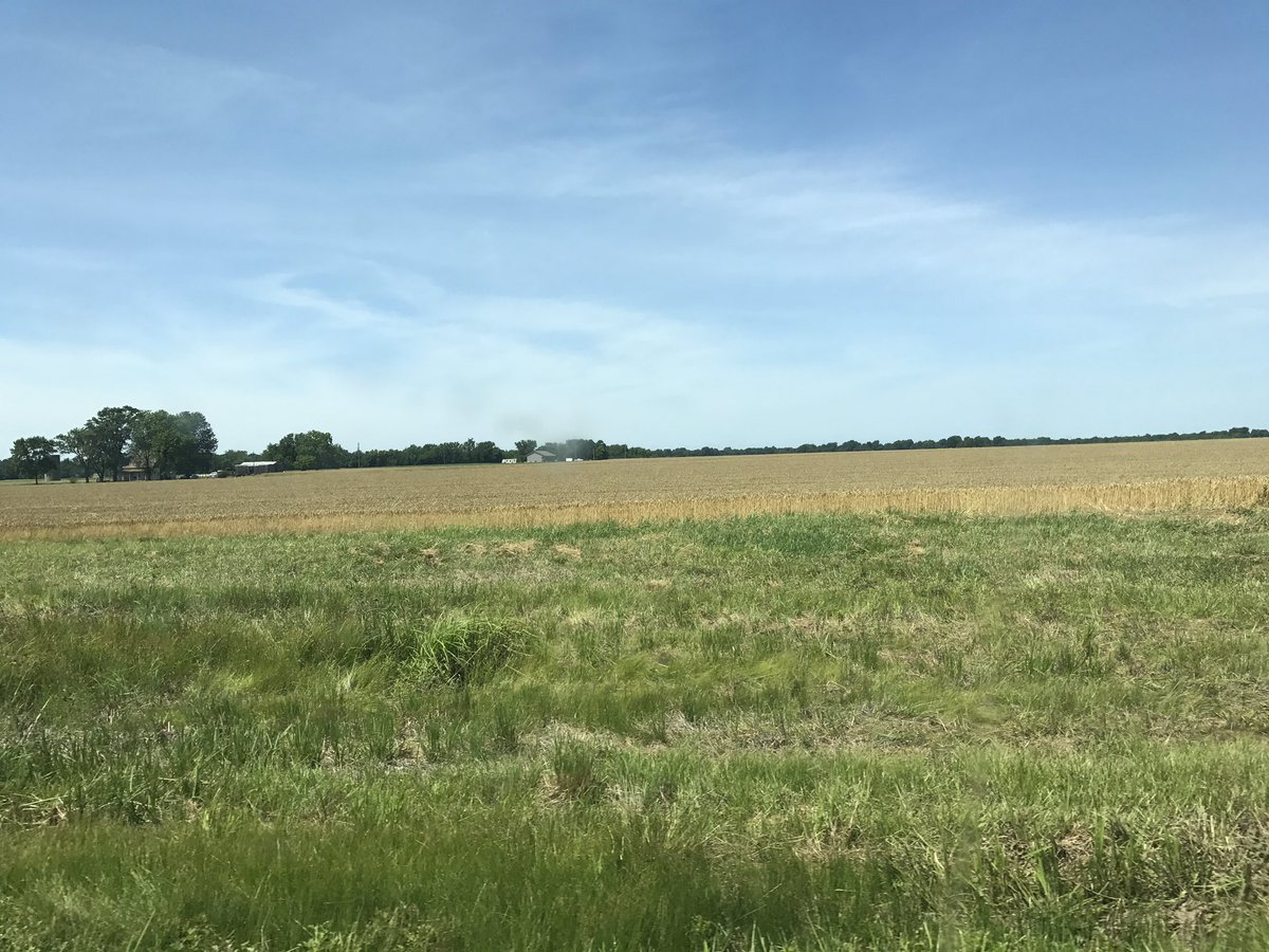 Chelate_This's tweet photo. Almost #Wheat #Harvest17 in southeast Kansas, who's ready for some #DoubleCropBeans! additional #phosphorus and #potassium may be needed https://t.co/FoX46ReJQg