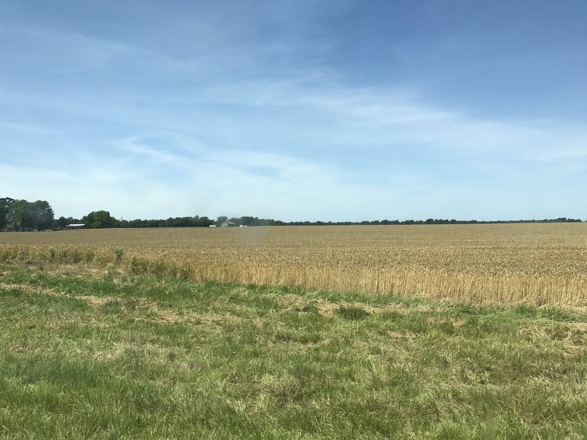 Chelate_This's tweet photo. Almost #Wheat #Harvest17 in southeast Kansas, who's ready for some #DoubleCropBeans! additional #phosphorus and #potassium may be needed https://t.co/FoX46ReJQg