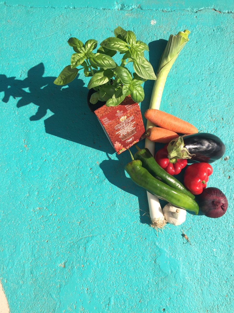 Osona Turisme tweet media