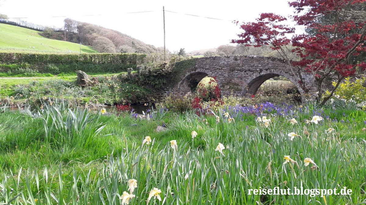 🐑new blogpost🐑Exmoor🐑 Eine Brücke im Doone Valley
#travelblog #doonevalley #malmsmead #exmoor
reiseflut.blogspot.de/2017/06/malmsm…