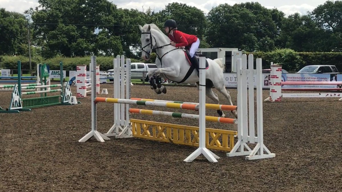 BWoodhead__'s tweet photo. Another good show with Mr C on Saturday! Double clear for 3rd in the 95 and double clear for 2nd in the discovery ❤❤ https://t.co/QHRh3VdwLb