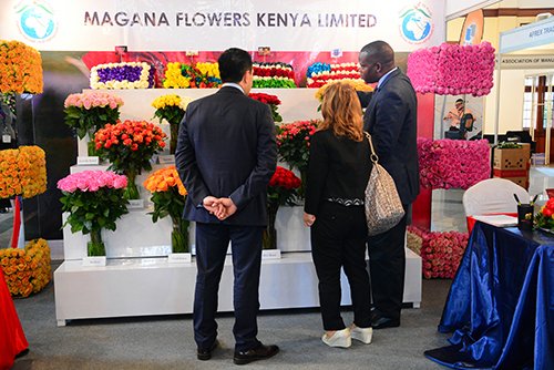 Flower #expo expected to draws record visitor numbers. #Nairobi #Kenya. #IFTEX2017.
mkutanoblog.wordpress.com/2017/06/06/flo…