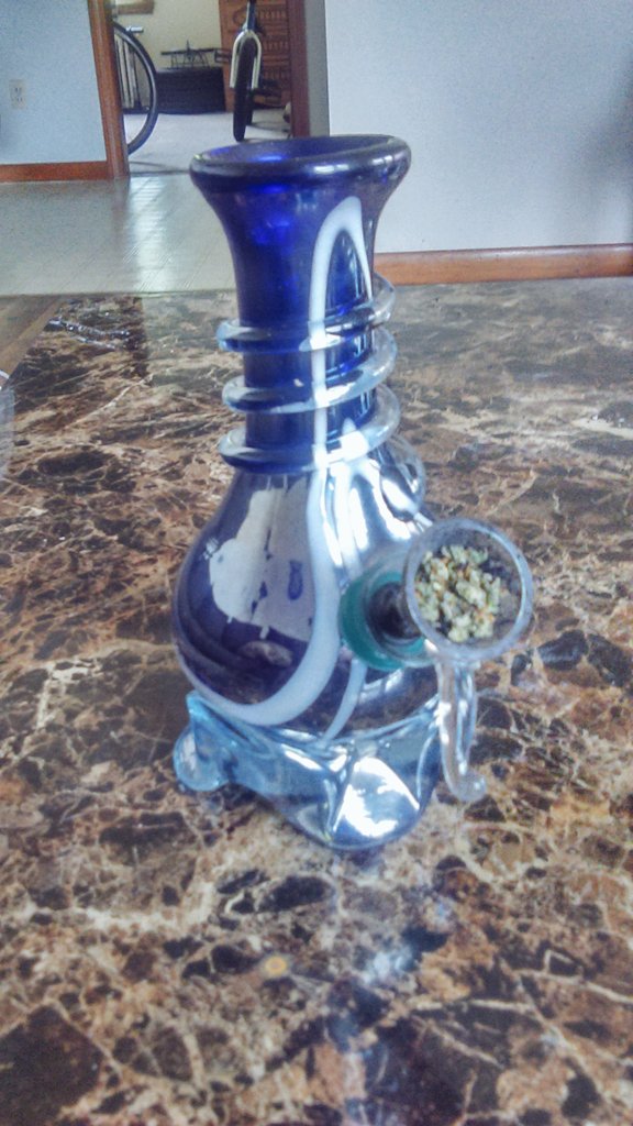 liveitmicheala's tweet photo. My graduation gift. Nova✨ https://t.co/pXQYIddzrV