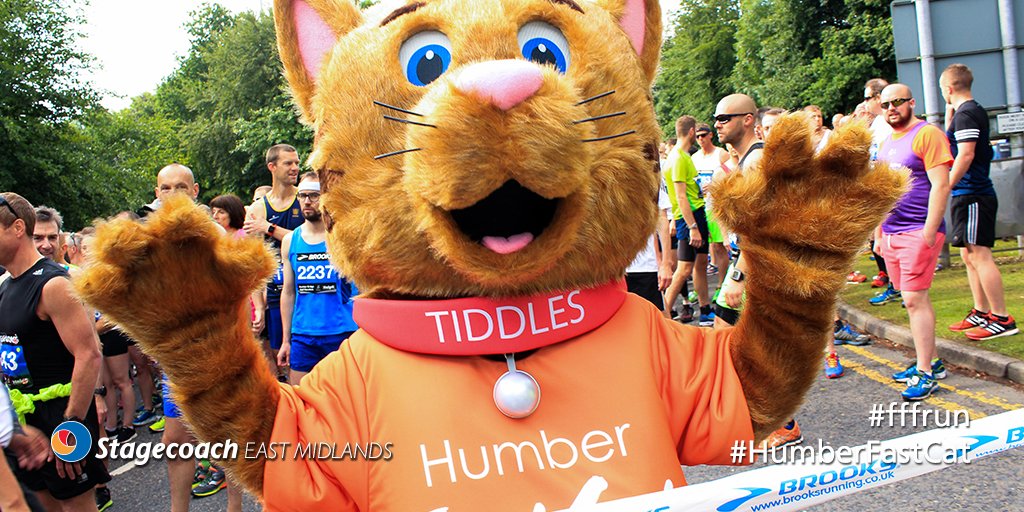 StagecoachEMid's tweet photo. Hey guys! I’m Tiddles & I will be running in the #HumberFastCat Fun Run on 25 Jun. Catch me if you can! #fffrun➜ https://t.co/MUqahtGia0 https://t.co/bbeLOnG9pO
