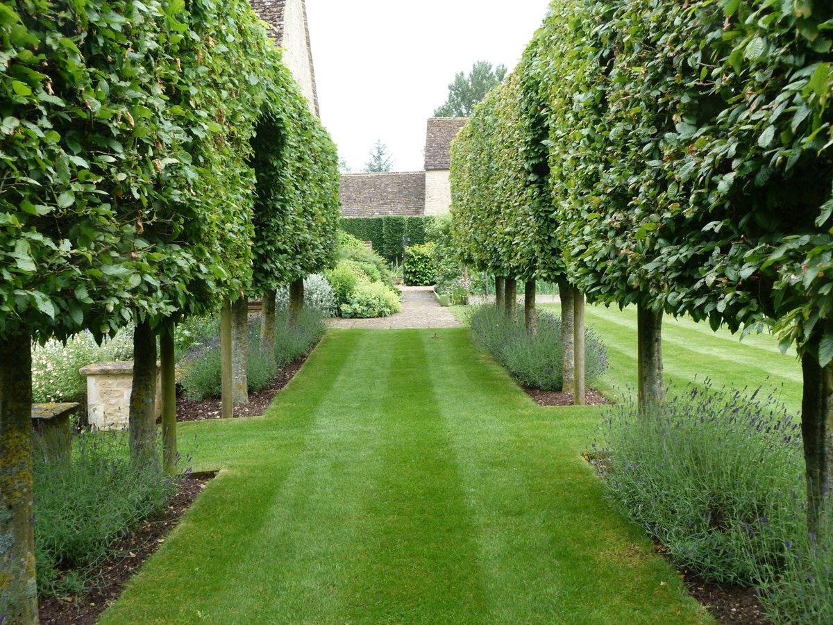 Countdown to Ashley &amp; Culkerton Garden openings on 17 and 18 June. <a href="/DillycotGarden/">Sally Oates</a>; @Glosngs