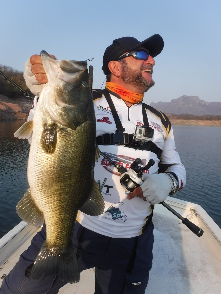 RatinhoPesca's tweet photo. #blackbass #bassfishing #lakeelsalto #anglersinn #texas #senco #bassproshops #shimano #chronarch #majorcraft  top d +++ https://t.co/EXsDmIYhtz