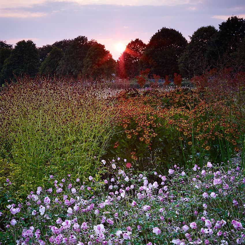 ELLEDecoUK's tweet photo. Editor-in-Chief @ELLEDecoMO shares 12 life lessons learnt from gardening in this week’s #EDtrendbulletin – https://t.co/BSFrRLtq6N https://t.co/zswCLpNiuH