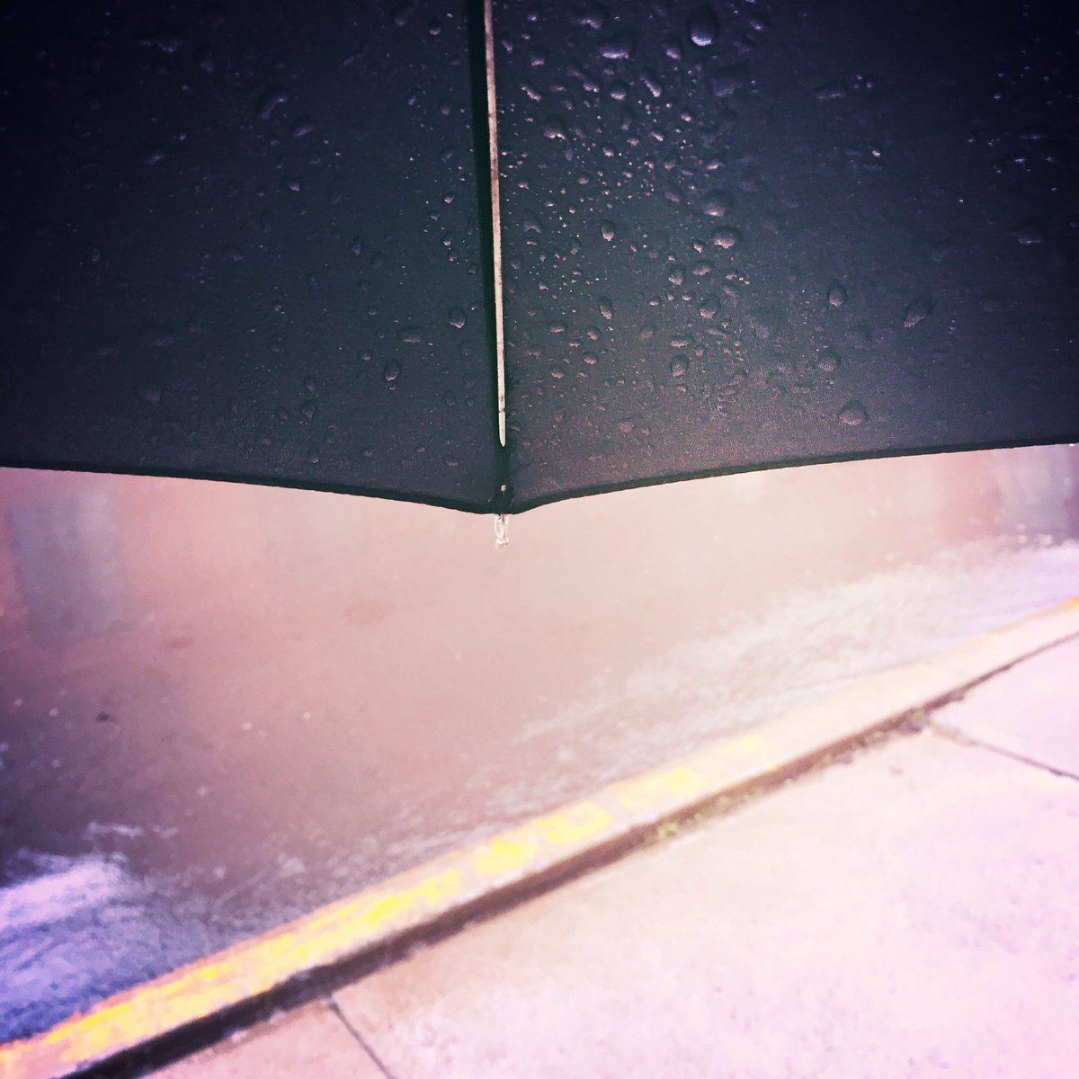 DanielleA_'s tweet photo. Cold, rainy day over here. #wherethehellissummer https://t.co/epZ7NaH343