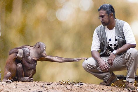 ramblingsloa tweet picture