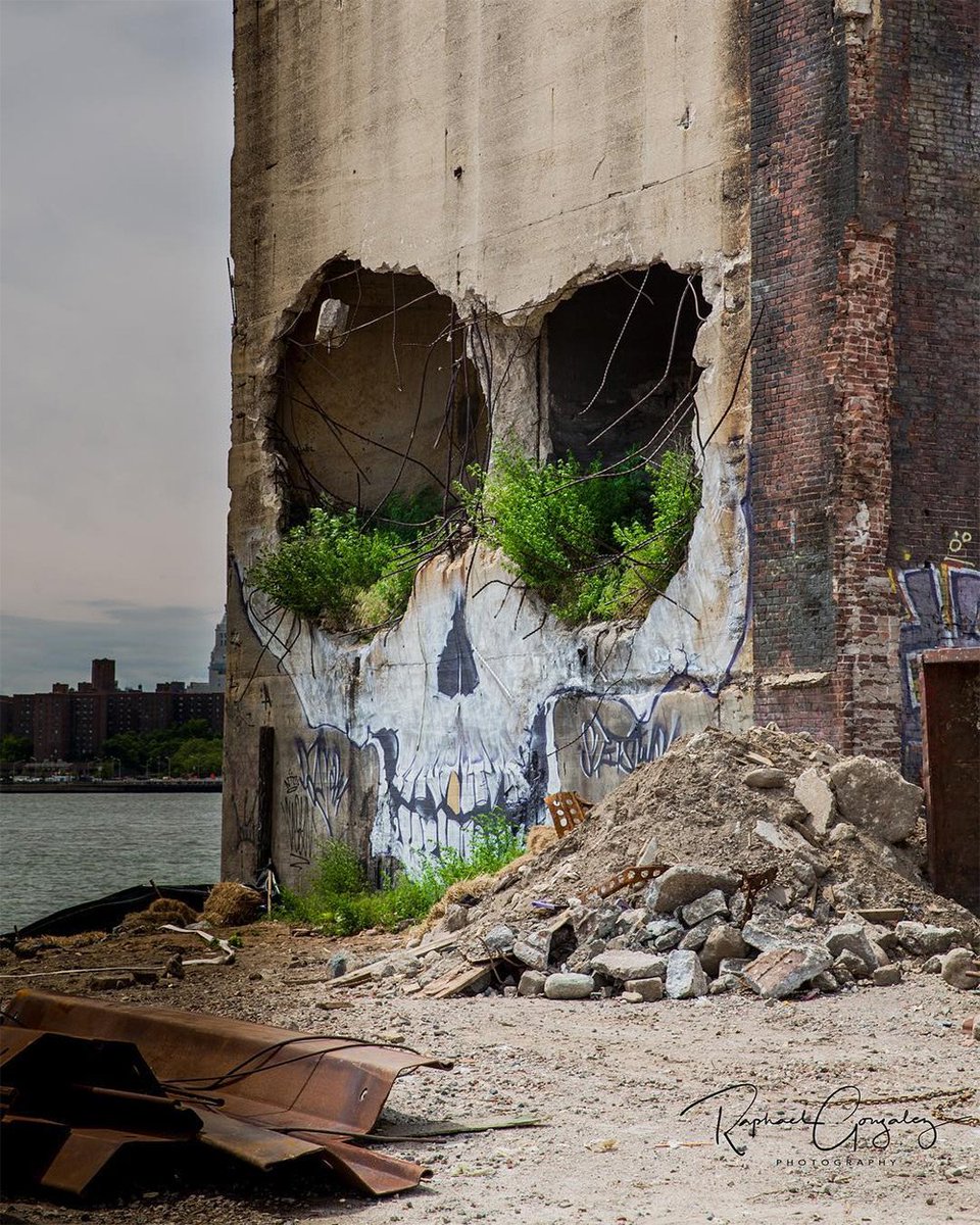 thisiscolossal's tweet photo. A Crumbling Building in Greenpoint Now Features a Ghoulish Skull by Suitswon https://t.co/u3hIcOUdCc https://t.co/DAYVCz1N02