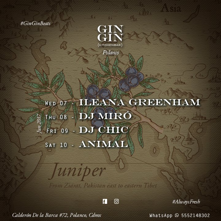 GIN GIN tweet media
