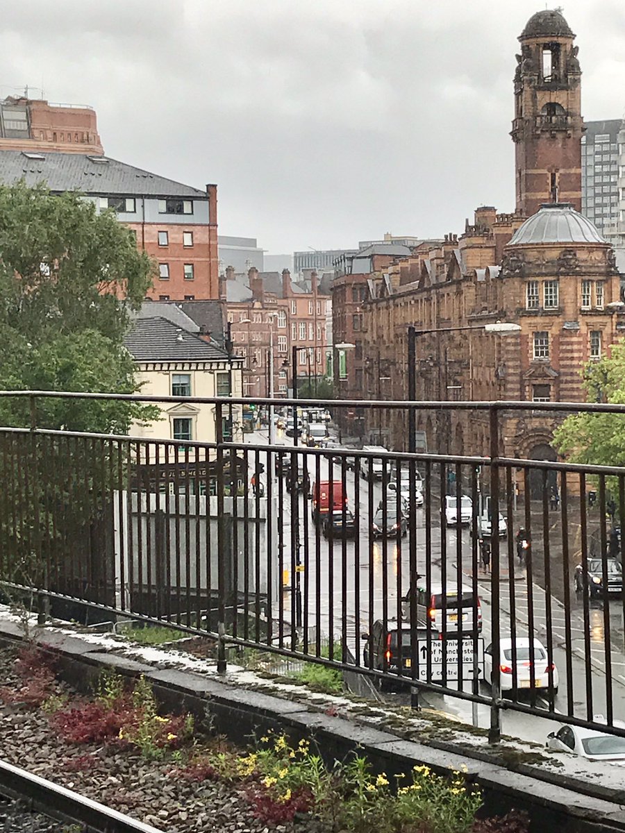 Therese_LW's tweet photo. Wild in unexpected places #30dayswild @30dayswild #platform14 #manchesterpiccadilly https://t.co/w5TxanOg0h