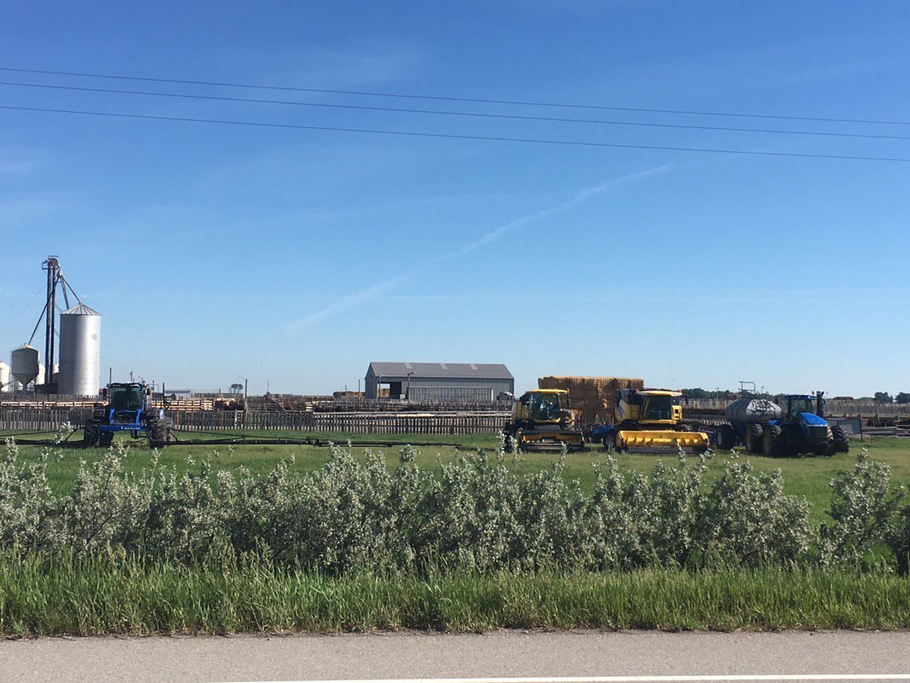 EdRouleau's tweet photo. Local feedlot doing a field day for school age kids👍 https://t.co/HwH9cUNfkz