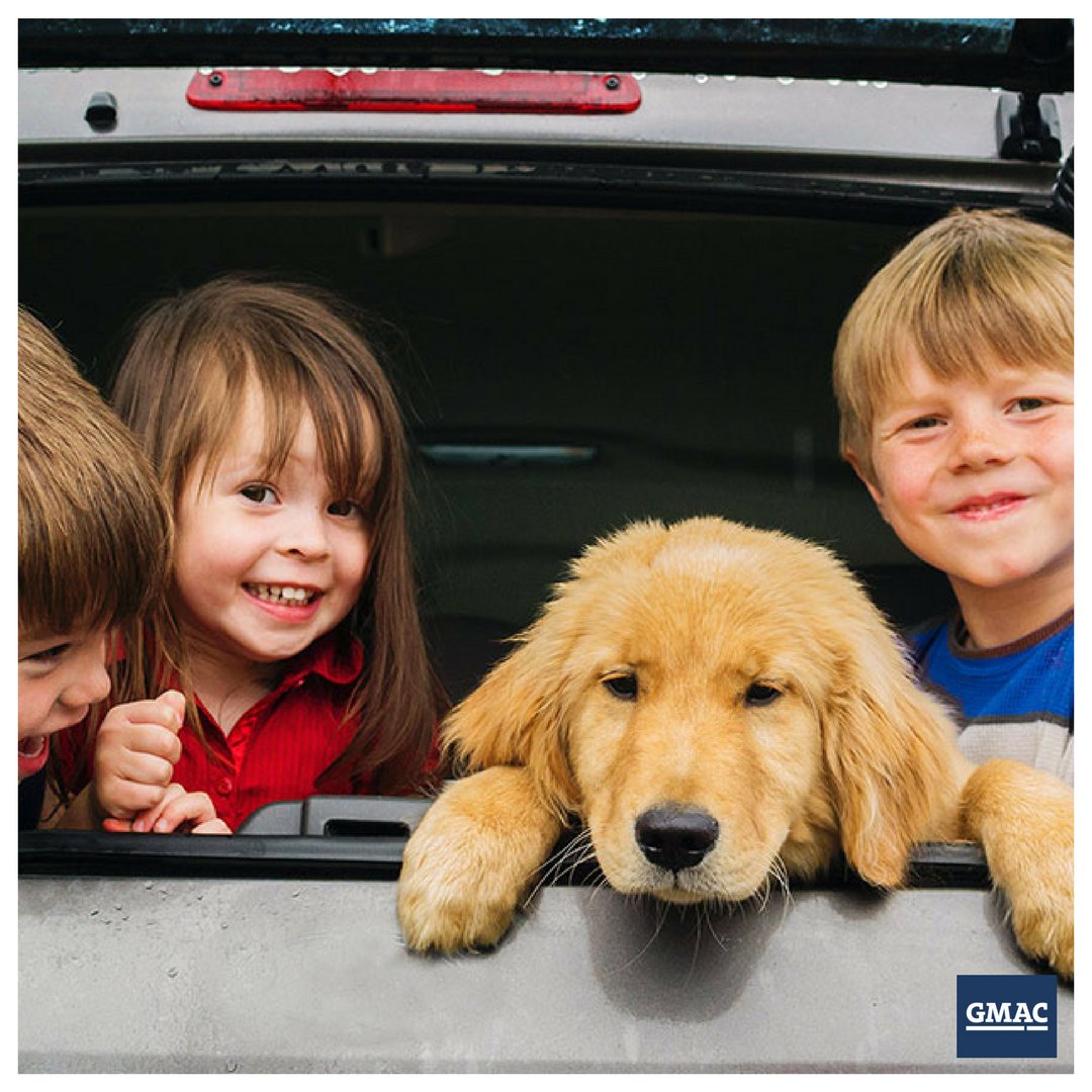 GMAC_Venezuela's tweet photo. ¿Quién disfruta más tu Chevrolet, tú o tu mascota?
#gmac #gmacdevenezuela #chevrolet #chevroletvenezuela https://t.co/JDJTJTIPCS