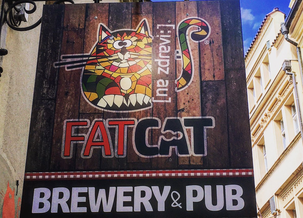naughttykitty's tweet photo. #fatcat #beer https://t.co/mF2F44UrJz