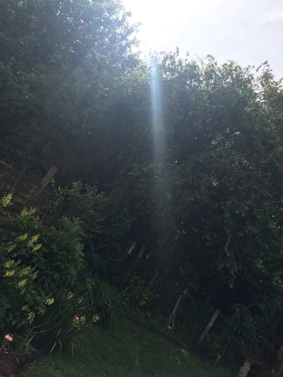 MichaelCrick's tweet photo. At last... the sun always shines on the righteous 😎 https://t.co/k3lBhSEF7X