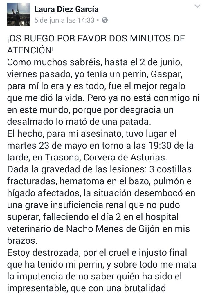 HijadeHelghan's tweet photo. Difundo esto por aquí. https://t.co/IW0p074g54