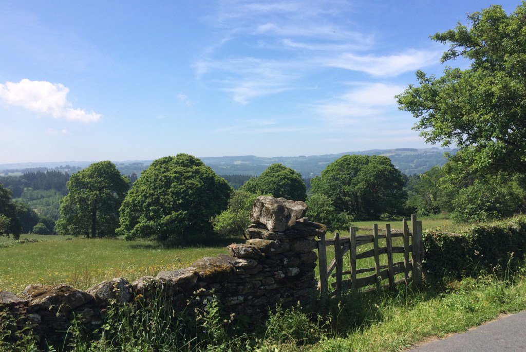 Sharon Franta tweet media