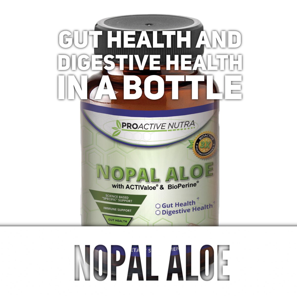 ProactiveNutra's tweet photo. Check out Nopal Aloe for gut health and digestive health: https://t.co/cIoDmOtL9B #ProactiveNutra #immunesupport #immunesystem #health https://t.co/4eZHhHONa1