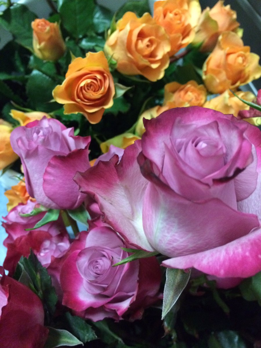 OrchPM's tweet image. Tonight's the night!! Best wishes to our seniors. We will miss you. Don't forget to #SupportTheArts and buy roses for your favorite grad! 🎓