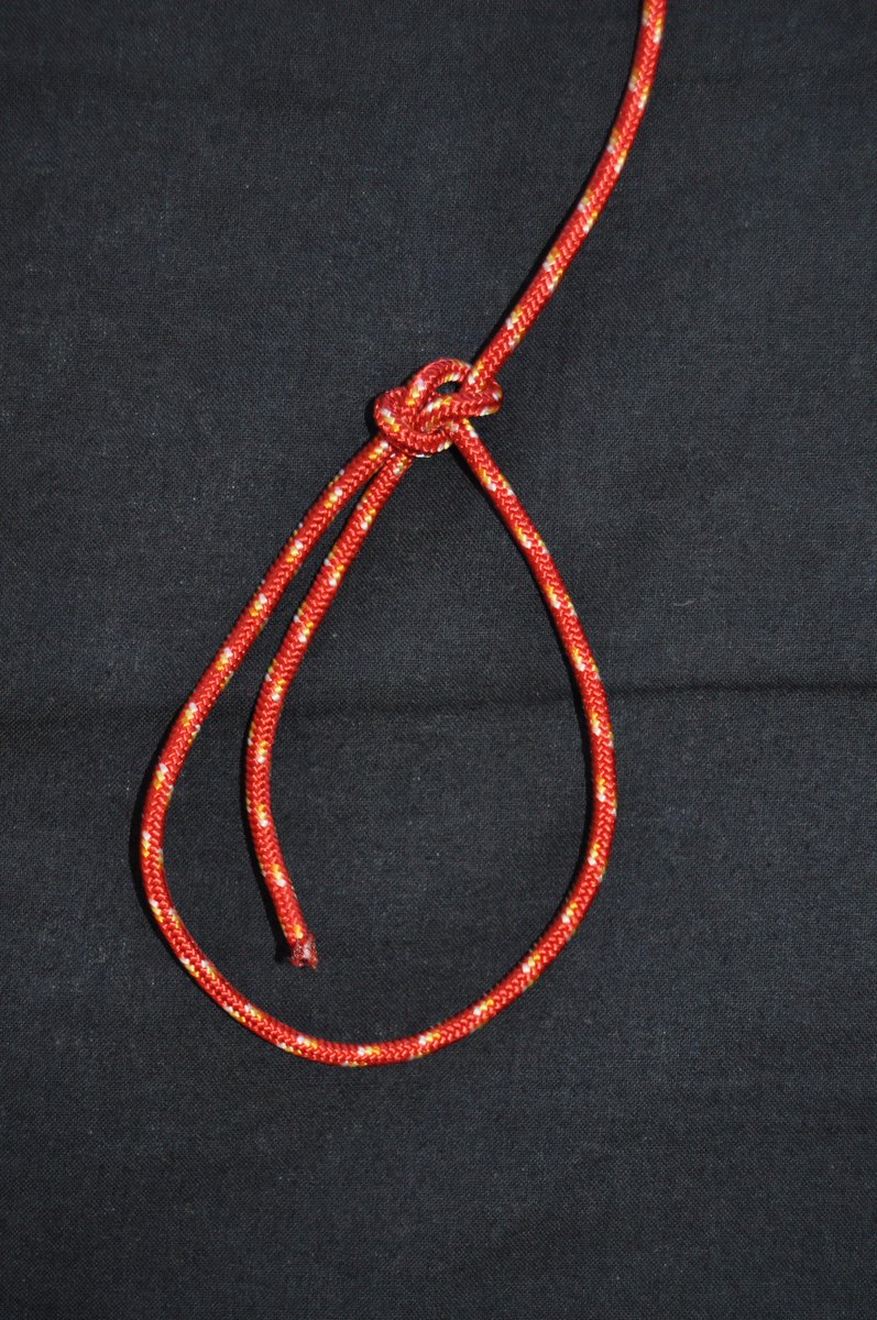 Proyecto_Scouts tweet media