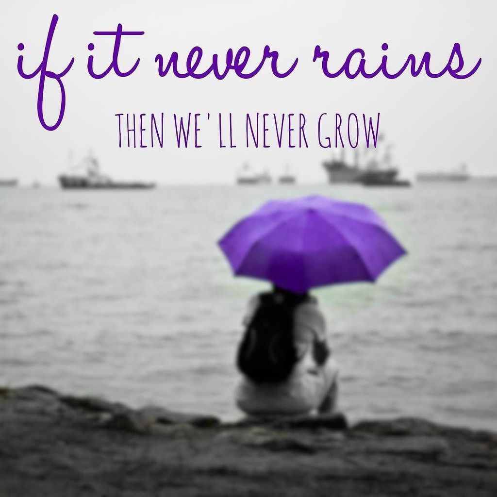 plexusholly's tweet photo. #mindsetmatters #positivethoughts #rainyday #smileoften #keepgoing #herecomesthesun https://t.co/c6OaSL7lJM https://t.co/RIe993dP05