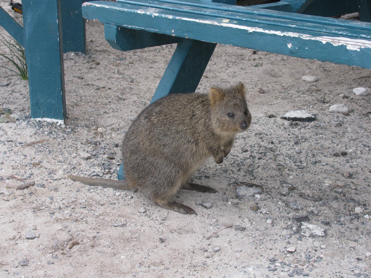 Annie Loggins tweet media