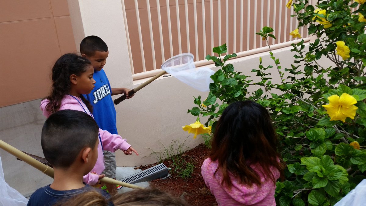 meganjohnsonEDU's tweet photo. Rising 3rd grade entomologists catchin' bugs and taking names! #RISE2017 @Manateeschools https://t.co/1W6ABCY3pU