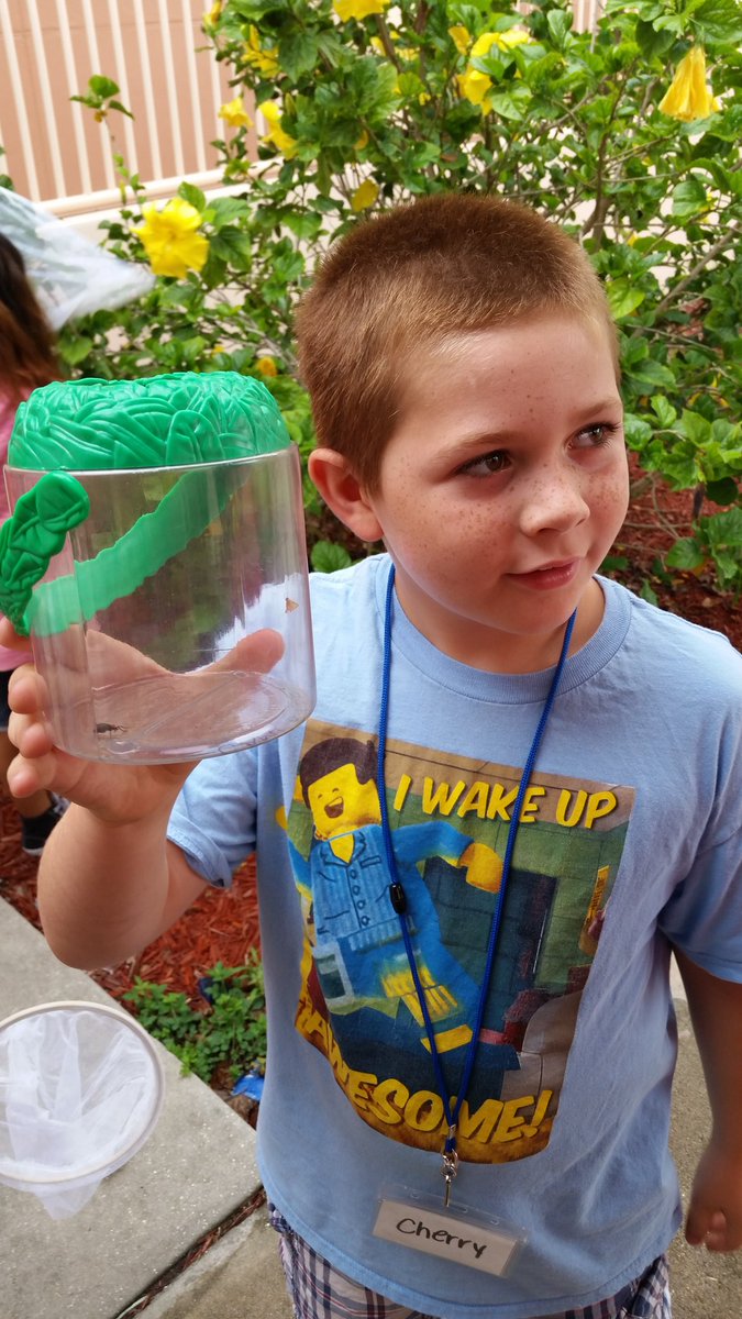 meganjohnsonEDU's tweet photo. Rising 3rd grade entomologists catchin' bugs and taking names! #RISE2017 @Manateeschools https://t.co/1W6ABCY3pU
