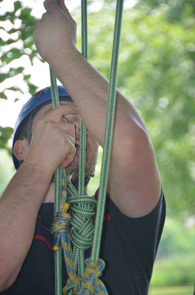 thegreatbigtree's tweet photo. EXCITING NEWS!  New tree climbing event @StanmerHouse on 9th July. Book online asap as going to sell out quickly @Love_Brighton #brightonfun https://t.co/rUVxtqCD96