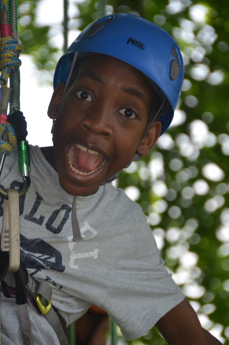 thegreatbigtree's tweet photo. EXCITING NEWS!  New tree climbing event @StanmerHouse on 9th July. Book online asap as going to sell out quickly @Love_Brighton #brightonfun https://t.co/rUVxtqCD96
