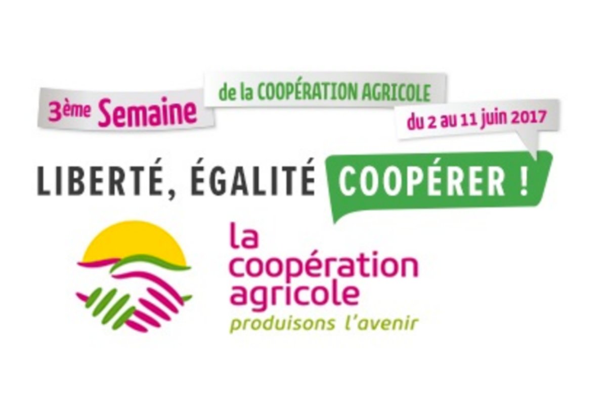 #marketing @CoopdeFrance fait campagne #legislatives2017 
➡️buff.ly/2rI7H1h