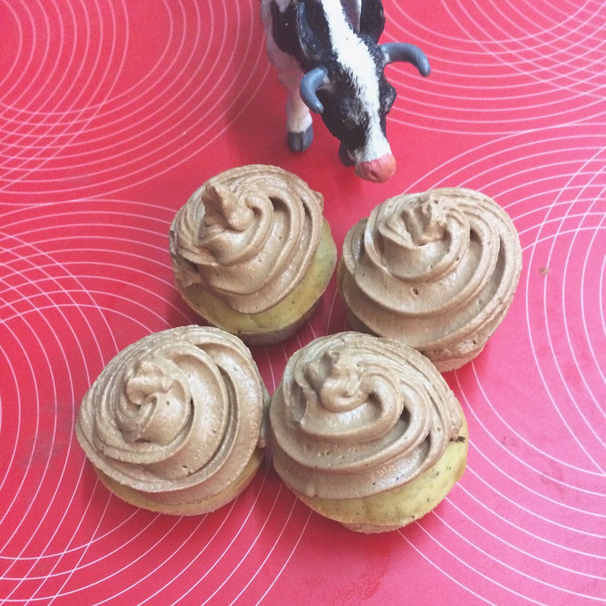 cowvathi's tweet photo. It's always cake-o-clock!!!!! 🐮🍫 #chocolate #cowchef #vegan https://t.co/uqdxRqgKCv