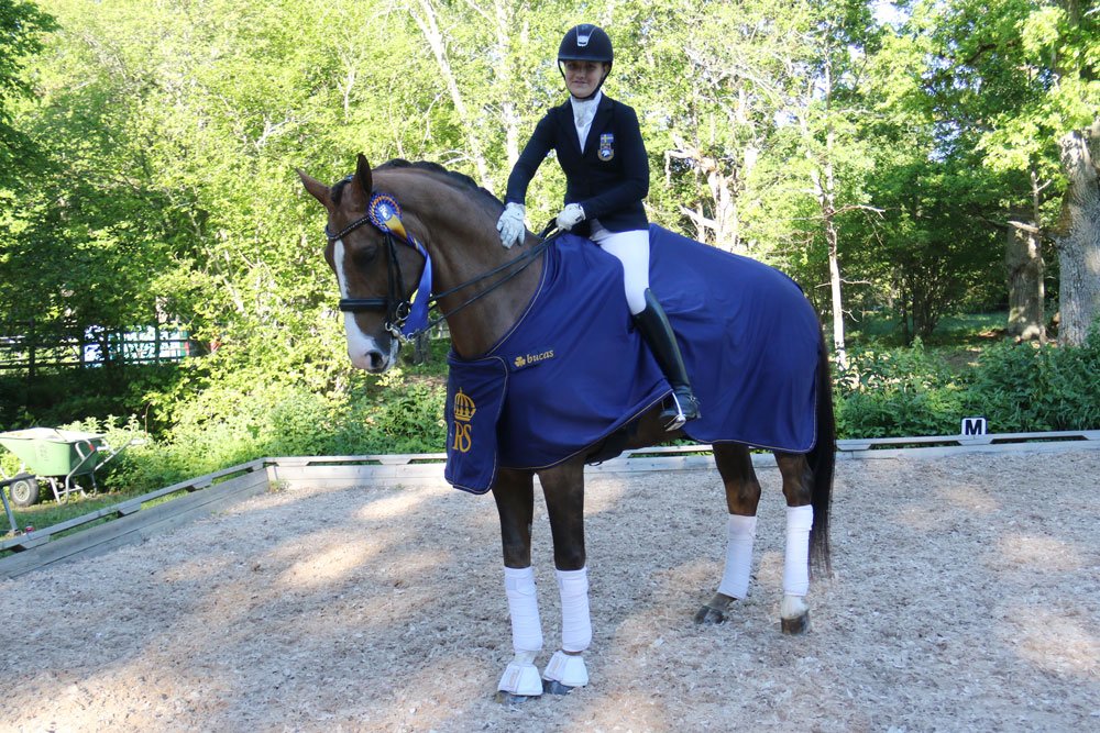 SvenskRidsport's tweet photo. Juniorguldet i dressyr till Cornelia T Pettersson och Final Cut. Grattis! https://t.co/bOjzHlvoxg #strömsholmsdagarna #SM #dressyr #ridsport https://t.co/54WrHHb1w4