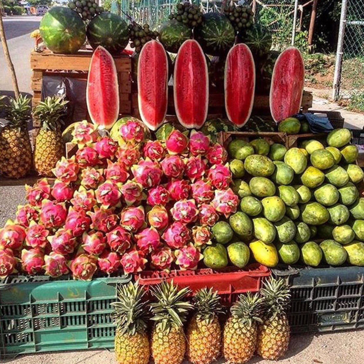 Quinta Magazine tweet media