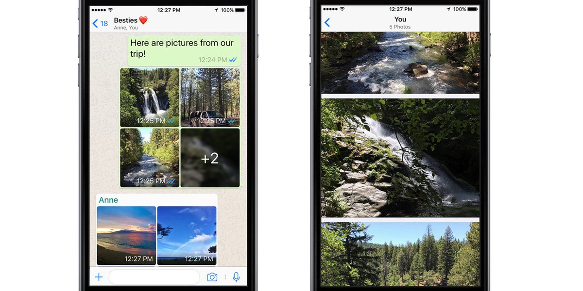 stevekrohn's tweet photo. WhatsApp adds photo filters and albums on iOS https://t.co/G4CMSLiGRl https://t.co/NEwoZ9FKaw