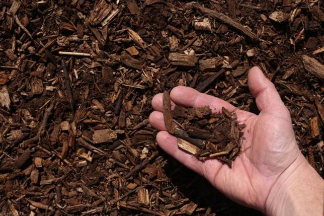 Tree_Care's tweet image. Does Mulch Make A Difference? Adding mulch around your trees will help them withstand drought and competition from grass or weeds.