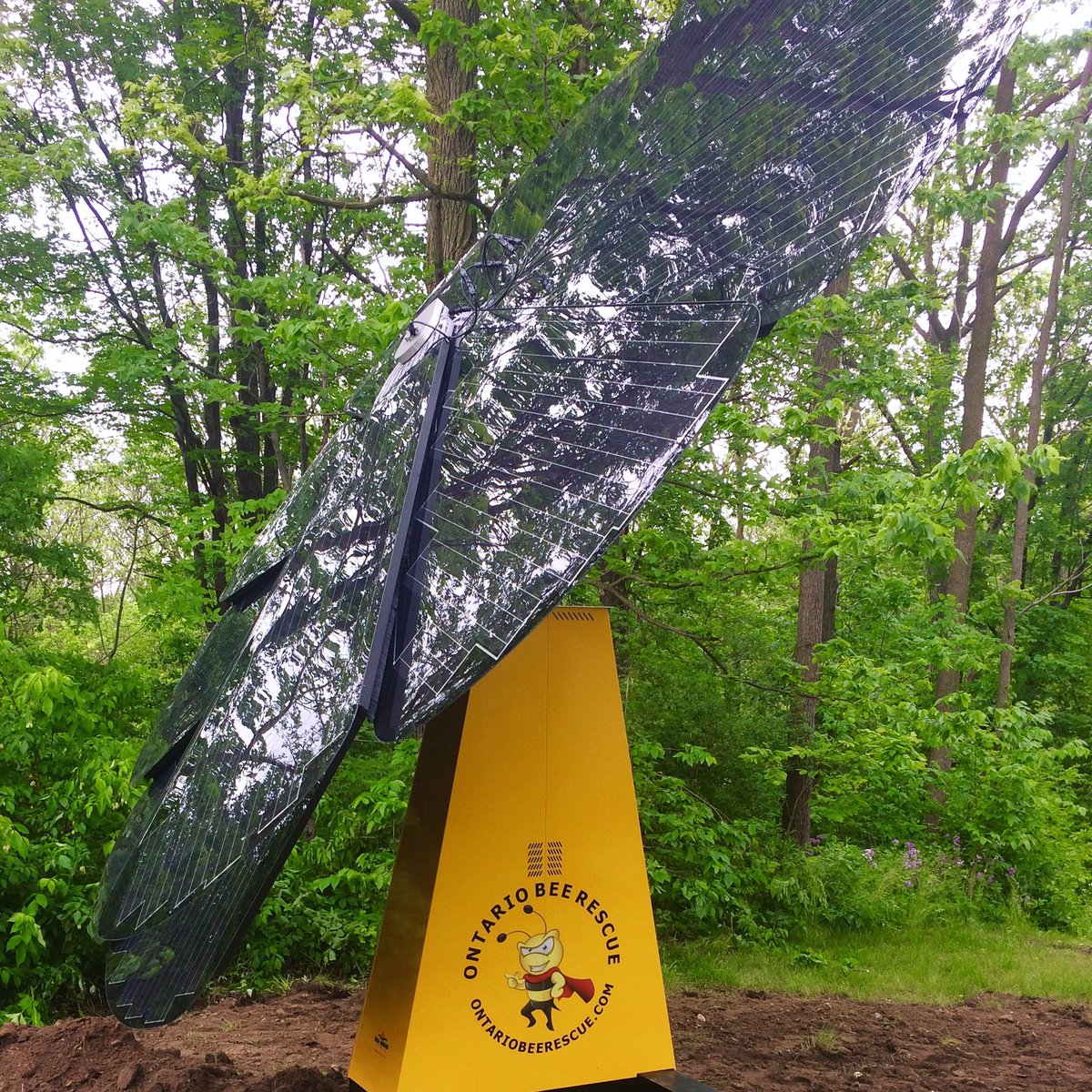smartflower_sol's tweet image. Yesterday, Ontario Bee Rescue decidedly went solar with #smartflower! This was the first Canadian installation performed by @NuNRGGroup! 🐝🇨🇦