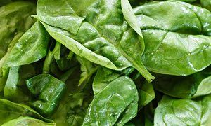 OmniNano's tweet photo. IMAGINE MORE TECH IN YOUR LIFE! Bionic spinach, invisible barcodes and nanotube computers #STEM #CoolSTEM https://t.co/SlvMXEBJDu https://t.co/iClawqXVW2