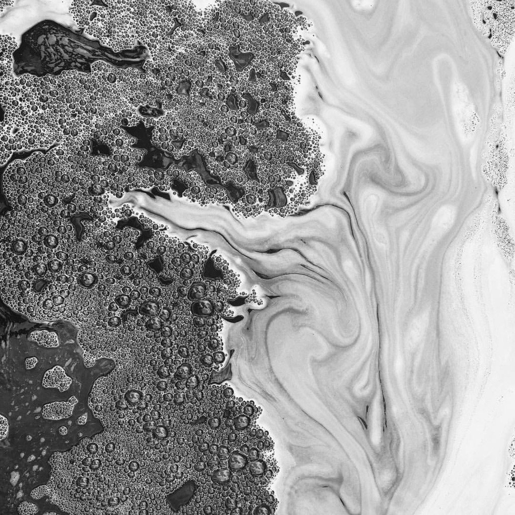 Night Owl tweet media