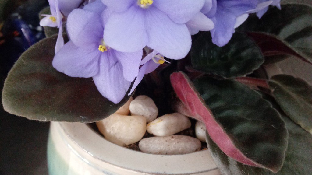 Tip Tuesday ~ Stopping Soil Erosion abundantlifeak.wordpress.com/2017/06/06/tip…